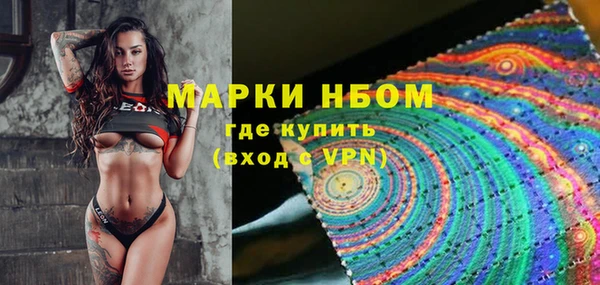 винт Надым