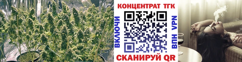 Дистиллят ТГК концентрат Петровск-Забайкальский