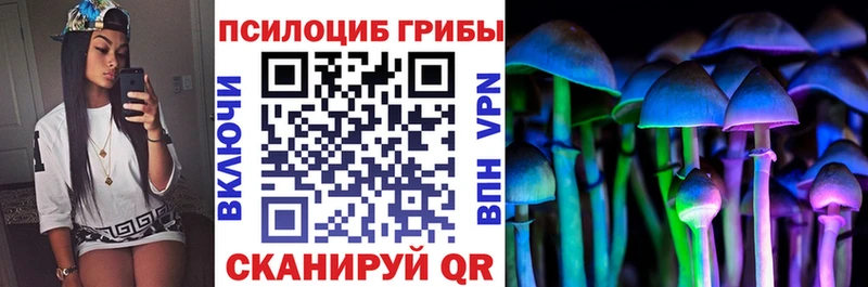 Галлюциногенные грибы мицелий  Петровск-Забайкальский 