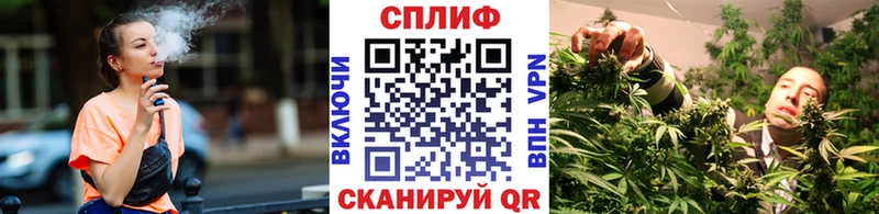 Бошки марихуана THC 21%  Петровск-Забайкальский 
